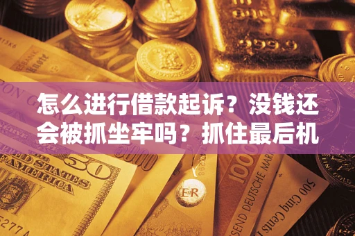 武汉怎么进行借款起诉？没钱还会被抓坐牢吗？抓住最后机会！