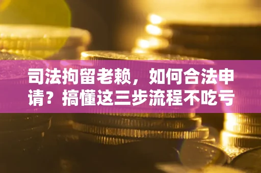 武汉司法拘留老赖，如何合法申请？搞懂这三步流程不吃亏！