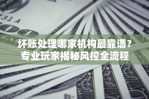武汉坏账处理哪家机构最靠谱？专业玩家揭秘风控全流程