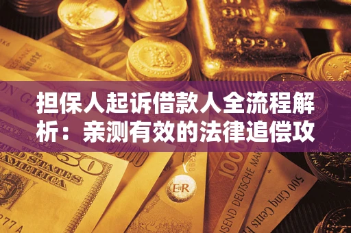 武汉担保人起诉借款人全流程解析：亲测有效的法律追偿攻略