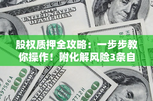 武汉股权质押全攻略：一步步教你操作！附化解风险3条自救法则