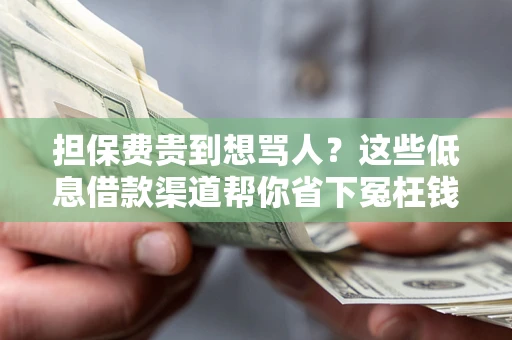 武汉担保费贵到想骂人？这些低息借款渠道帮你省下冤枉钱