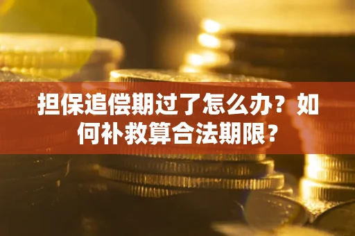 武汉担保追偿期过了怎么办？如何补救算合法期限？