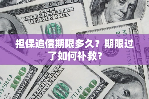 武汉担保追偿期限多久？期限过了如何补救？
