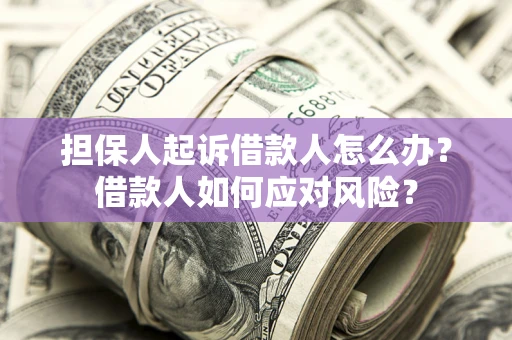 武汉担保人起诉借款人怎么办？借款人如何应对风险？