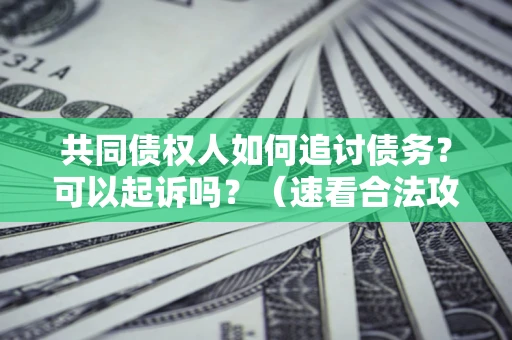 武汉共同债权人如何追讨债务？可以起诉吗？（速看合法攻略）