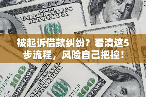 武汉被起诉借款纠纷？看清这5步流程，风险自己把控！