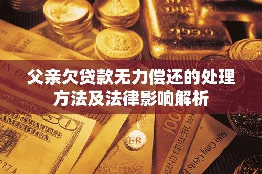 武汉父亲欠贷款无力偿还的处理方法及法律影响解析