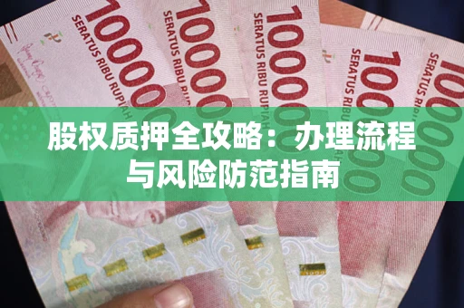武汉股权质押全攻略：办理流程与风险防范指南