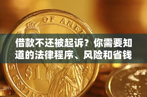 武汉借款不还被起诉？你需要知道的法律程序、风险和省钱技巧