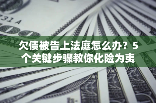 武汉欠债被告上法庭怎么办？5个关键步骤教你化险为夷